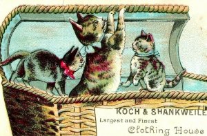 1880's Koch & Shankweiler Clothing House Cats Kittens Inside Basket P175