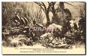 Old Postcard Monaco Oceanographic Museum Zoological New Aquarium