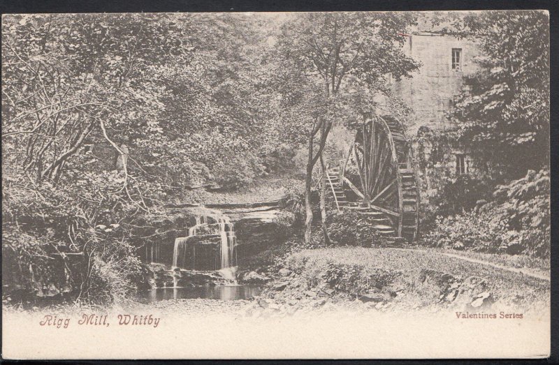 Yorkshire Postcard - Rigg Mill, Whitby   A7433