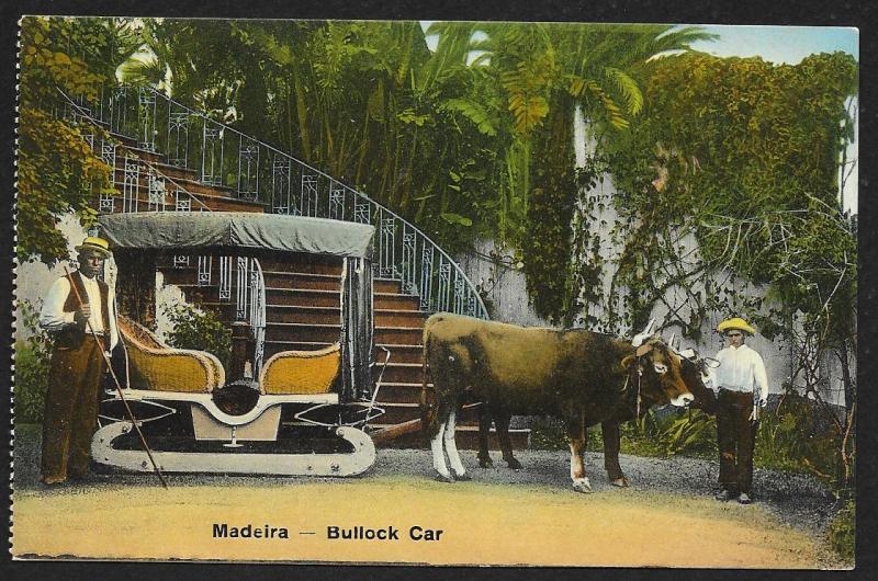 Bulls Pulling Bullock Car Madeira SPAIN Unused c1910s