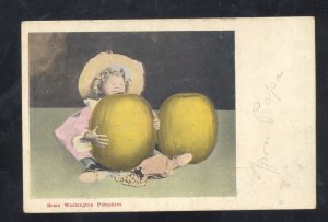 SOME WASHINGTON PUMPKINS FARMING EXAGGERATION CUTE GIRL VINTAGE POSTCARD