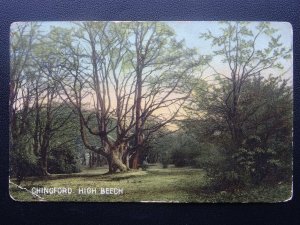 London Waltham Forest CHINGFORD High Beech c1908 Postcard by Misch & Stock