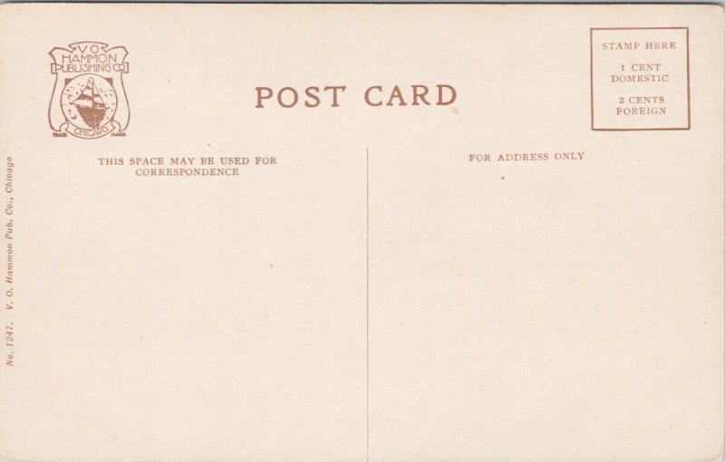 Steamship 'Tionesta' Ship at Dock Mackinac Island Michigan Unused Postcard H54