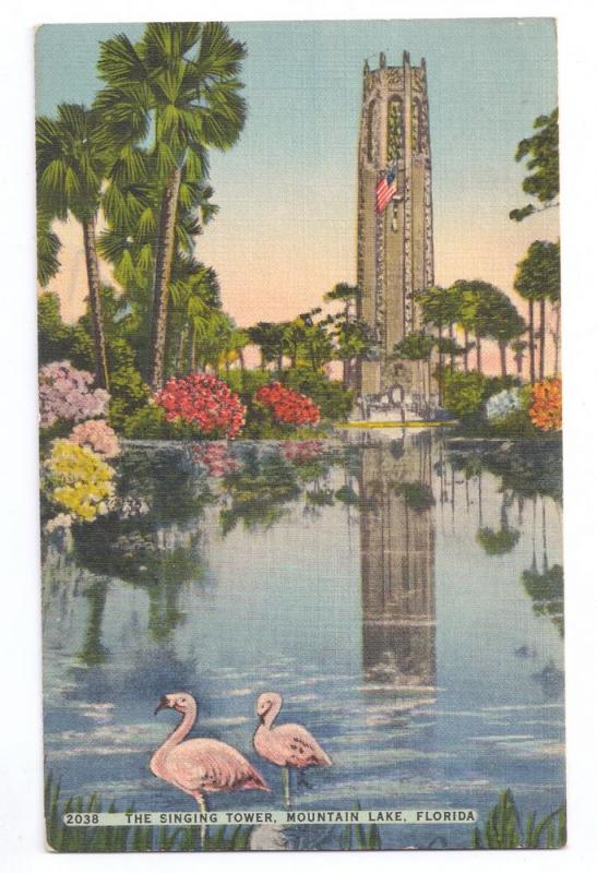 Singing Tower Mountain Lake Florida Pink Flamingo