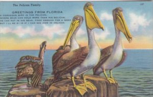 Greetings From Florida The Pelican Family