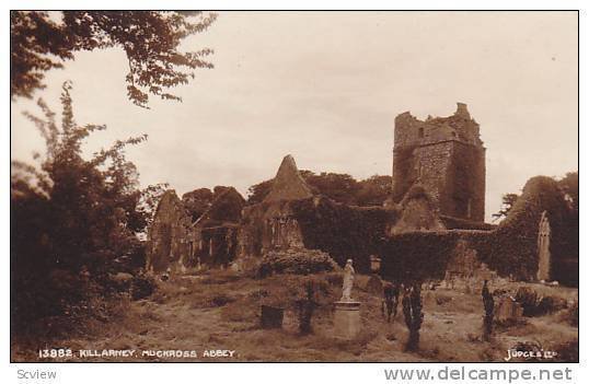 RP; Killarney, Muckross Abbey, Kerry, Ireland, 00-10s