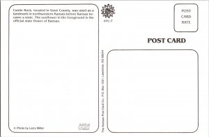 Continental Postcard Castle Rock Gove County, Kansas CF2