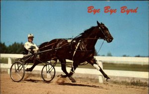 Lexington KY Poplar Hill Farm Bye Bye Bird Horse Racing Vintage Postcard