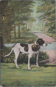 Postcard Dog Hunting Dog Pointer 1907