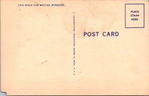 Vintage Postcard Risque Woman Comic JT1