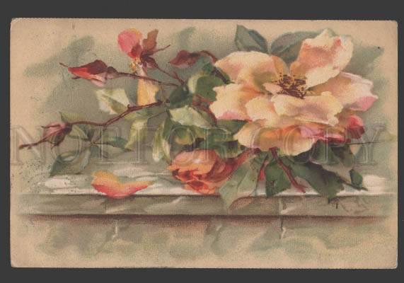 115887 Pink ROSES on Wall by KLEIN Vintage colorful PC