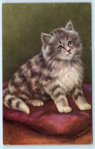 M. BABINGTON Artist Signed FLUFFY KITTEN White Paws - Alma #326  Postcard