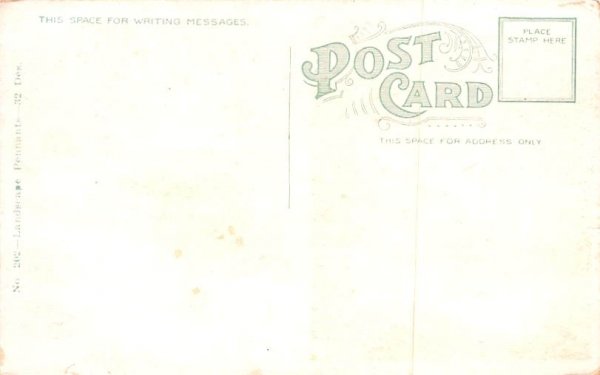 Greetings From Summitville, New York Postcard