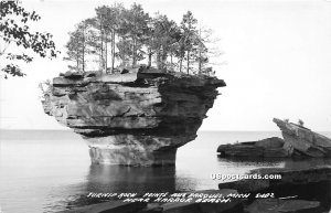 Turnip Rock in Pointe Aux Barques, Michigan