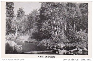 Minnesota Aitkin River Scene Real Photo