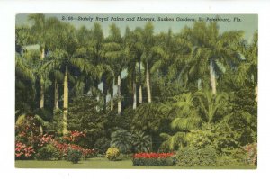 FL - St. Petersburg. Sunken Gardens, Stately Palms, Flowers