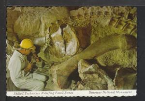 Reliefing Fossil Bones,Dinosaur National Monument Postcard 
