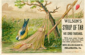 WILSON'S SYRUP OF TAR*QUACKERY*BIRD ON FISHNET*FISHING ROD*VICTORIAN TRADE CARD