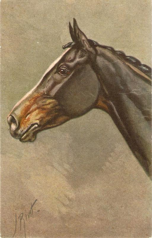 Horse Nice antique Swiss postcard. Artist signed