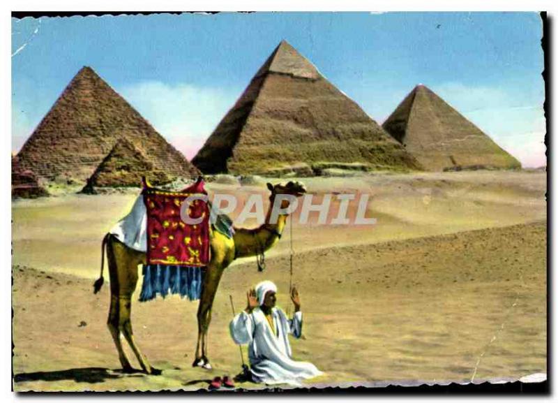 Postcard Modern Prayer near the Pyreminds of Giza