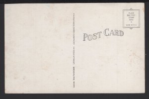 Wisconsin BRUCE Island Lake~ WB