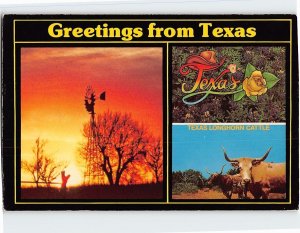 Postcard Greetings from Texas