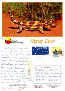 Thorny Devil, Australia's Northern Territory
