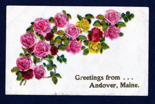 ME Greetings From Andover MAINE Embossed Flowers OLD