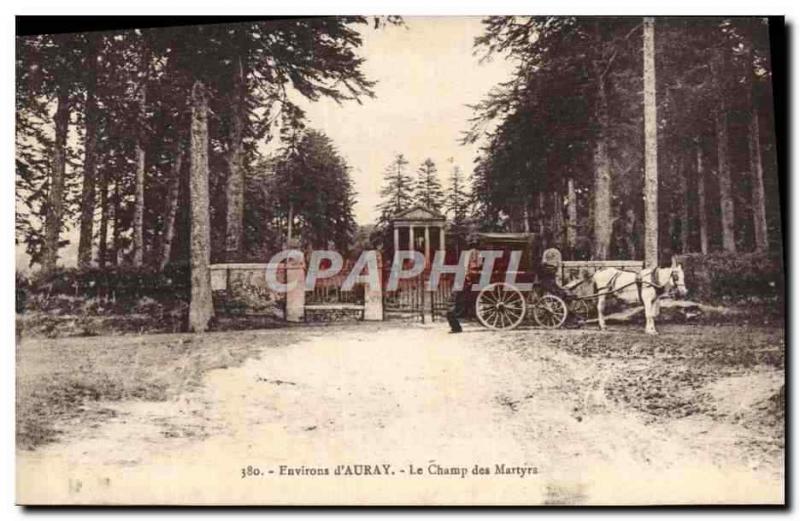 CPA Environs d'Auray Le Champ Des Martyrs