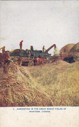 Harvesting In The Great Wheat Fields Of Manitoba Canada