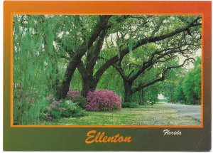 US  unused  Ellenton, Florida.    Nice.