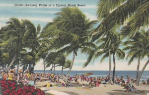 Florida Miami Beach Swaying Palms On The Beach 1954 Curteich