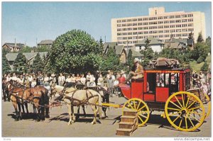 Horse Carriage, Alberta's Historic Stagecoach, Edmonton, Alberta, Canada, 40-...