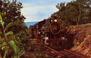 Trains - Wanamaker, Kempton & Southern Steam Railroad in PA