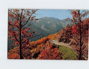 Postcard An Autumn scene on Newfound Gap Highway, Great Smoky Mtns. Nat'l Park