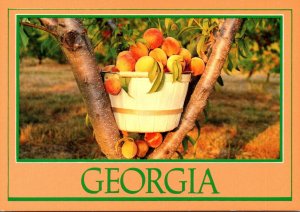 Georgia Basket Of Peaches