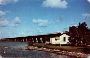 Florida Keys Pigeon Key and Seven Mile Bridge