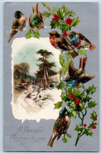 Christmas Postcard Song Birds Holly Berries Winter Scene Nash Antique c1905