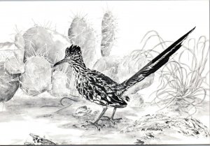 CONTINENTAL SIZE POSTCARD ARTISTIC RENDERING OF THE ROADRUNNER BY AL HESSELBERG