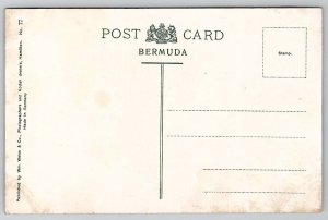 Bermuda Lion Rock Postcard B46