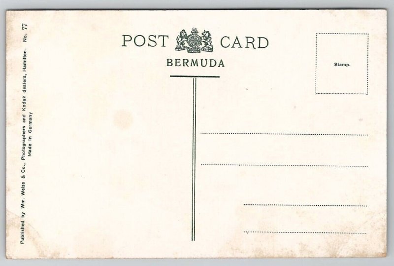 Bermuda Lion Rock Postcard B46
