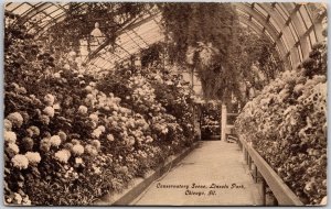 1911 Conservatory Scene Lincoln Park Chicago Illinois IL Posted Postcard