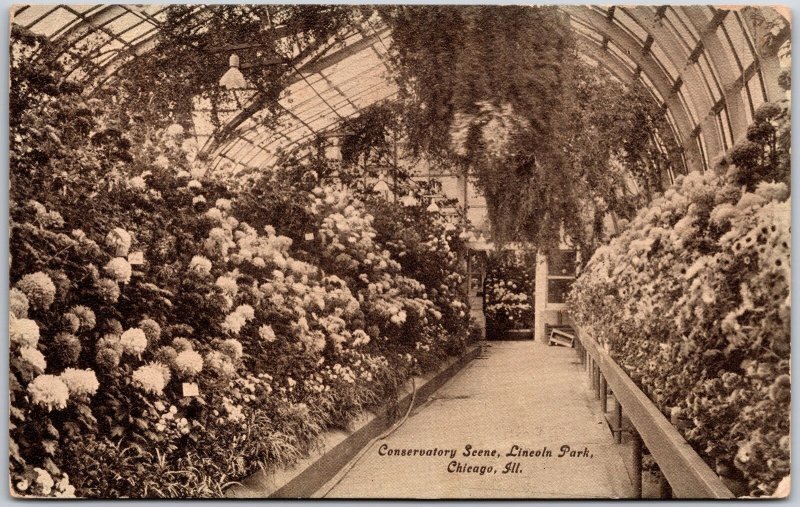 1911 Conservatory Scene Lincoln Park Chicago Illinois IL Posted Postcard