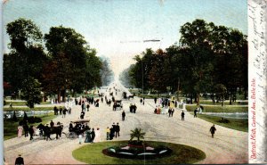 1900s Central Ave. Belle Isle Detroit Michigan Postcard