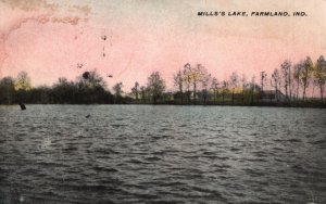 Vintage Postcard 1912 Mill's Lake Scenic Water Attraction Spot Farmland Indiana