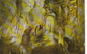 New Mexico Carlsbad Caverns National Park Frozen Waterfall