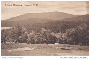 Sunapee Mountain Sunapee New Hampshire Albertype