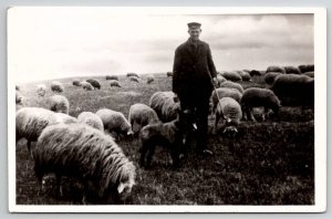 Elspeet Netherlands Wilhem with His flock of Sheep RPPC Postcard M34