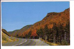 Rigwash Valley, Cape Breton Highlands National Park, Nova Scotia