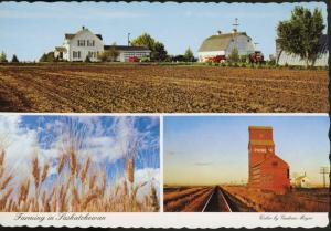 Farming In Saskatchewan SK Sask Farm Crop Grain Elevator Multi-View Postcard D9